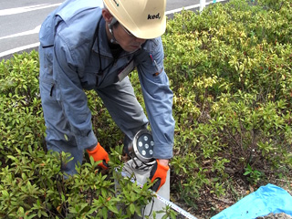 屋外用LEDスポットライト取付工事